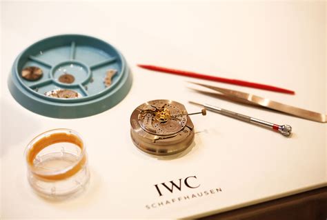 iwc gründung|IWC History .